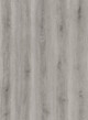 Millennium%20Oak%202.jpg.jpeg Millennium%20Oak%202.jpg.jpeg